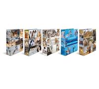 1x10 Herma Classeur À Motif Din A4 Animal 7163