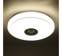 2.4 GHz Bluetooth Plafonnier LED 256 RGB Musique Speeker Lampe à intensité variable + Télécommande - Télécommande infrarouge
