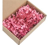 2 50 Bouquets éternels de Souffle de bébé pour Les centres de Table de mariée, Les expositions artistiques et la décoration de la pièce, Fleurs préservées résistantes à la poussière