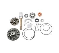 DT Spare Parts 2.91519 Kit de réparation, pompe à eau