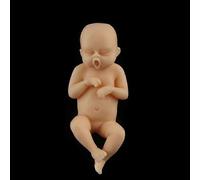2.95'' Poupées Bébé Garçon Renaître Réaliste Mini-corps Poupée Entière Nouveau-né Réaliste
