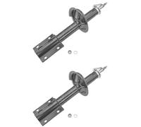 2 AMORTISSEUR FIAT P. DUCATO 94-