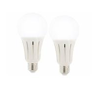 Luminea 2 ampoules LED E27 High Power 23 W - 2452 lm - Blanc lumière du jour