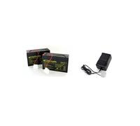 2 Batteries Plomb HDME Bateau AMORCEUR CATAMARAN ANATEC 6V 12Ah + Chargeur automatique ALCS 2-24A sans pinces
