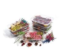 2 Boîtes Fleurs Séchées Décoratives, Mélange de Fleurs Naturelles Pressées Fleurs Pressées Séchées Fleur Sechees Résine Fleur Artificielle pour Bougie Bricolage, étui pour Téléphone, Ongle
