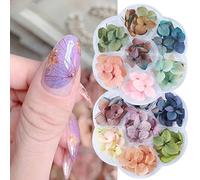 2 Boîtes Fleurs Séchées pour Nail Art Set Naturel Vraies Fleurs Nail Charms Décoration 3D Mini Pétales de Feuilles Sèches pour Femmes Artisanat Nail Art Design