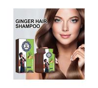 (2 Box - 20pcs)Ginger Plant Extract Anti-Hair Loss Hair Shampoo, 2024 New Upgrade Ginger Anti-Hair Loss Hair Shampoo, Ginger Hair Care Shampoo