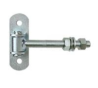 2 charnières de porte M12 réglables avec tôle à visser galvanisée (2, M12)