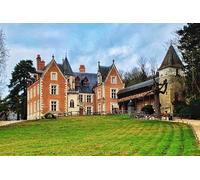 2 Châteaux Amboise Château Royal & Clos Lucé Léonard de Vinci