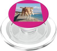 2 chats volants chat_001 PopSockets PopGrip pour MagSafe