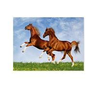 2 Chevaux Courant et sautant，Puzzles pour Adultes 1000 Pièces, Enfants Éducatifs Intellectuels Décompressant Amusant Jeu De Famille（75x50cm）-N55