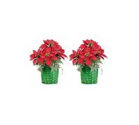 : 2 compositions florales de Noël avec poinsettias et panier tissé