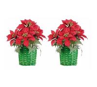 2 compositions florales de Noël avec poinsettias et panier tissé