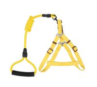 2 Ensembles de Laisse pour Animaux de Compagnie en Nylon Chien de Service Laisse de Chien Gilet d'extérieur pour Petits Chiens Gilet de Chien rembourré Gilet de Marche pour Chien entraînement