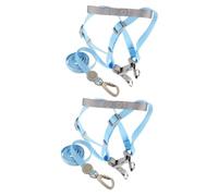 2 Ensembles de Laisse réglable en Nylon pour Chien, Petit pour Chien, Chiot, Laisse pour Chien, évasion, Grand réservoir de Lapin, Polyester, Promenade pour Animaux de Compagnie, D