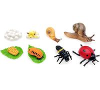 2 Ensembles Figures Cycle Vie Coccinelle et Escargot,Cycle Vie Coccinelle,modèles Cycle Vie Escargot,Cycle Vie Insectes,Jouets du Cycle de Vie des Animaux,Premiers Jouets éducatifs