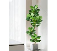 2 Grand arbre Ficus artificiel 70cm and105cm, fausses plantes en caoutchouc, branche de feuilles de violon en plastique
