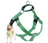 2 Hounds Design Freedom Harnais Anti-Traction et Anti-Traction Uniquement, 1,6 cm, Taille XS, Vert Fluo