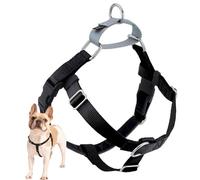 2 Hounds Design Freedom Harnais sans Laisse 2,5 cm Noir Taille XL