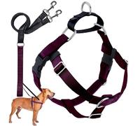 2 Hounds Motif Liberté Harnais sans-Tirer Harnais avec Laisse, Medium, Large de 2,5 cm, Bordeaux