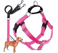2 Hounds Motif Liberté Harnais sans-Tirer Harnais avec Laisse pour Chien, Large, 2,5 cm de Large, Rose Vif