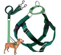 2 Hounds Motif Liberté Harnais sans-Tirer Harnais avec Laisse pour Chien, Large, 2,5 cm de Large, Vert Kelly