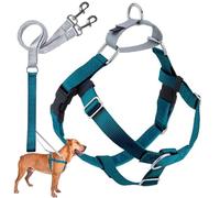 2 Hounds Motif Liberté Harnais sans-Tirer Harnais avec Laisse pour Chien, Petite, 5/20,3 cm de Large, Bleu Sarcelle