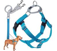 2 Hounds Motif Liberté Harnais sans-Tirer Harnais avec Laisse pour Chien, Taille XS, 5/20,3 cm de Large, Turquoise
