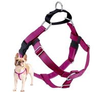 2 Hounds Motif Liberté Harnais sans-Tirer Harnais Only, 2,5 cm, Medium, Framboise