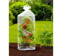 Wenko - 2 Housse pour tomates