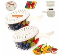 2-in-1 Draining and Preservation Basket: Simplify Washing & Storing, Multi-Functional Fruit and Vegetable Washing Bowl with Lid & Foldable Handle, Fruit Washing Bowl with Strainer (Mixs-2pc,M)