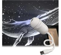 2-In-1 Projector Night Light, Usb Starry Sky, 360° Adjustable Star Projectors Lamp with 1/6/12 Projection Films, Led Rotating Mood(24Slides)