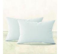 2 oreillers garnissage - 50 x 70 cm