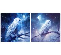 2 Pack 5D Lune Peinture Diamant Painting Kit, DIY Chouette Diamond Painting Complet Kits, Simple Activité Manuelle Adultes Débutants Strass Broderie Point de Croix pour Maison Décor 15x15 cm S-487