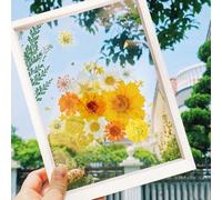 2 Paquet Fleur Pressée Naturelle,Noir Et Blanc Fleurs Pressé Séchées Naturelles Florales Naturelles Feuille De Fleurs Pressées Pour Bricolage Résine Bijoux Faisant Floraux Nail Art,Style D