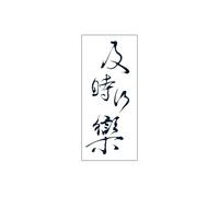 2 PCS Autocollants De Tatouage De Jus À Base De Plantes Semi-Permanents Imperméables Non Réfléchissants Caractères Chinois Carpe Diem