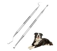 2 Pcs Detartreur Dentaire Kit, Dents en Acier Inoxydable Kit, Crochet Choisir Détartreur pour Dentiste Nettoyage Des Dents Tartre