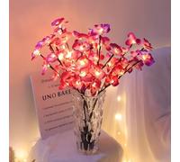 2 PCS LED Branches lumineuses de rameau 40 perles LED blanc chaud de couleur à piles lumières décoratives de branche pour Vase chambre à coucher Restaurant café Bar bibliothèque partie Photo fond 78CM