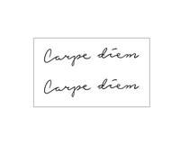 2 PCS Lettres Anglaises Dans Le Temps Carpe Diem Autocollants De Tatouage À Base De Plantes Jus Semi-Permanent Étanche Hommes Et Femmes Durables