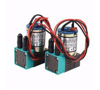 2 Pcs / Lot JYY Petite Pompe À Encre pour Wit Couleur Humain Phaeton Solvant Imprimante Traceur 3W 24V100-200Ml Micro-Encreur Pompe