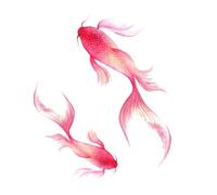 2 pcs Tatouage Ephemere Carpe Rouge Koi Tatouage Temporaire Style Ancien Motif De Poisson Japonais Autocollants De Tatouage D'Encre Imperméable Pour Hommes Et Femmes