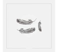 2 pcs Tatouage Ephemere Imperméable À L'Eau Femme Longue Durée Plume Tatouage Temporaire Noir Clavicule Bras Autocollant