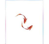 2 pcs Tatouage Ephemere Koi Rouge Tatouage Temporaire Carpe Poignet Étanche Durable Homme Et Femme Couple Autocollant