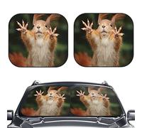 2 Piece Car Windshield Sun Shade, Squirrel Funny Animal Meets Print Sunshades Sun Visor Protector Blocks UV Rays Foldable Keep Your Vehicle Cool for Most Sedans SUV Truck, Medium