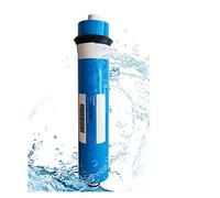 2 pièces 50/75/100GPD maison cuisine osmose inverse RO Membrane remplacement système d'eau filtre purifiant l'eau Système de filtre à eau(100G 2PS)