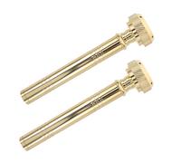 2 Pièces Aspersoir Portable D’eau Bénite en Cuivre, Or, pour Prières | Compatibilité, Angles de Pulvérisation, Étanchéité Fiable, Format Compact, pour Cérémonies Catholiques