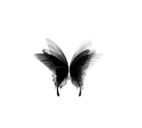 2 pièces autocollant de tatouage temporaire imperméable papillon faux tatouage jambe bras Art temporaire papillon autocollant de tatouage
