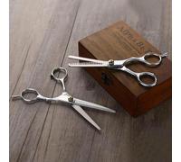 2 pièces Ciseaux de coupe de cheveux professionnels pour salon de coiffure, ciseaux d'effilage pour cheveux, ciseaux de coiffure pour salon et usage domestique, outil de coiffure, accessoires pour hom