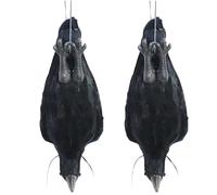 2 pièces Corbeaux Noirs Suspendus décor de Corbeau à Plumes réaliste Oiseau pour Accessoires d'halloween Maison Cour Jardin Corbeaux Noirs Faux Corbeau décor de