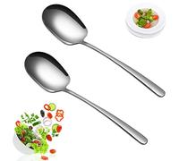 2 Pièces Cuillère de Service, Grandes Cuillères à Long Manche pour Soupe Pelle à Salade en Inox pour Cuisine Restaurant Buffet Banquet Hôtel Ustensiles de Cuisine Cuillères de Table à Long Manche 29cm